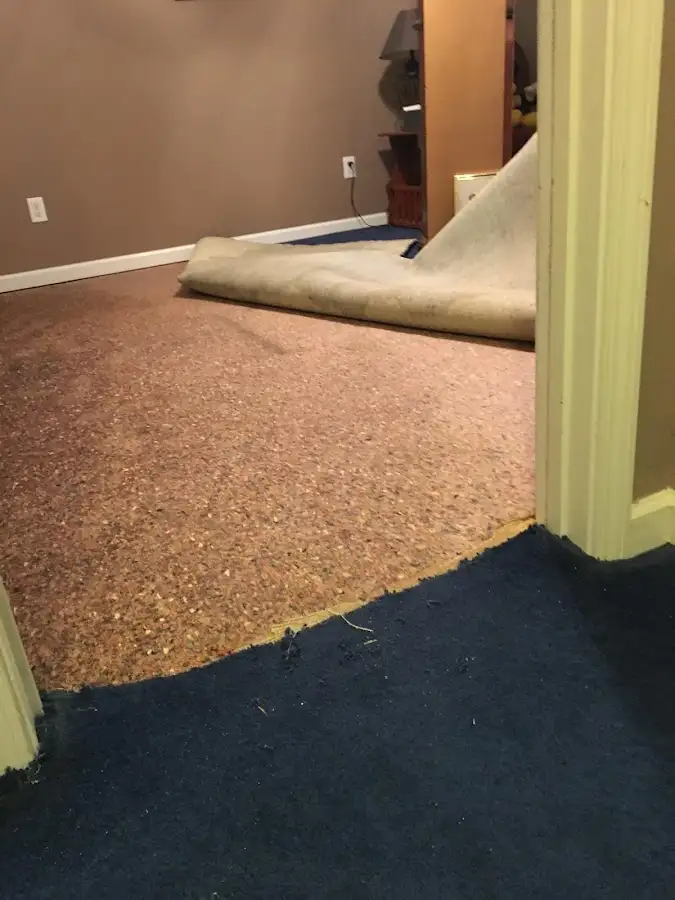 Carpet pad removal revealing water damage during Water Mitigation Services in Los Lunas