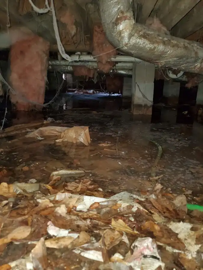 Crawl space flood assessment for Commercial Water Damage Restoration in Los Lunas