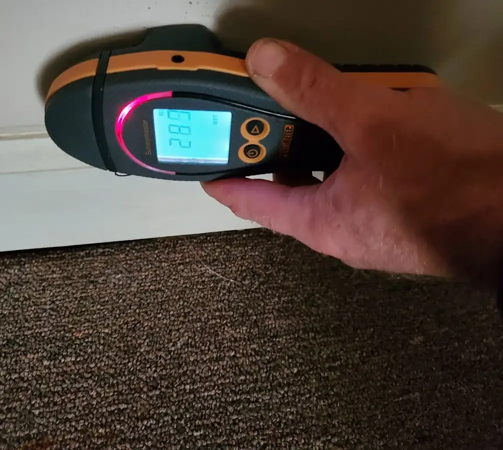 Moisture detection at baseboard during Sewage Cleanup & Sanitation in Los Lunas